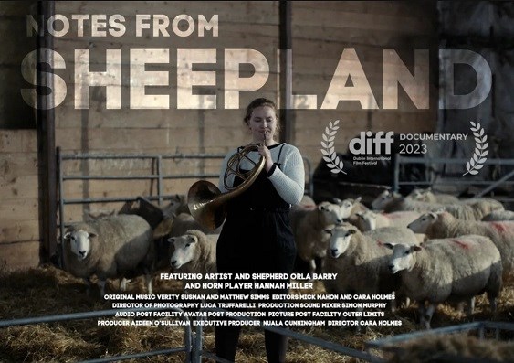 Notes from Sheepland
