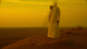 Rouzbeh Rashidi: A Decade of Cinema